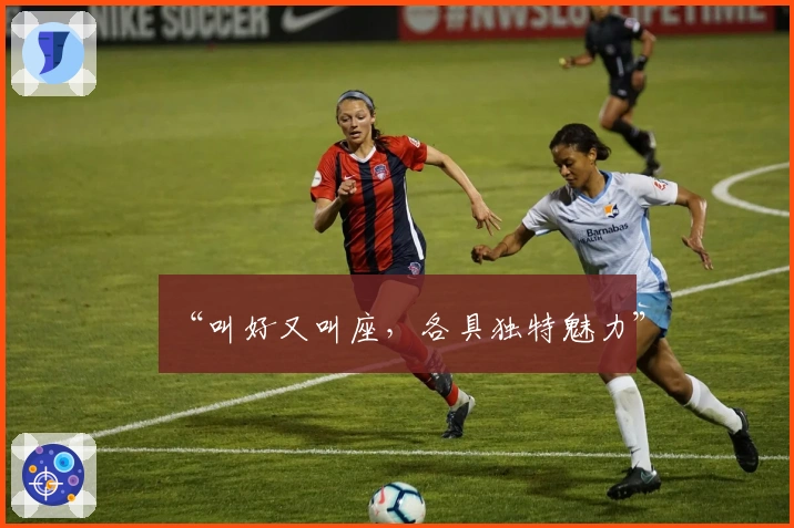 “叫好又叫座，各具独特魅力”