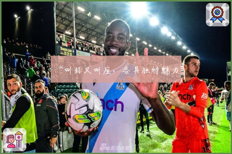 “叫好又叫座，各具独特魅力”