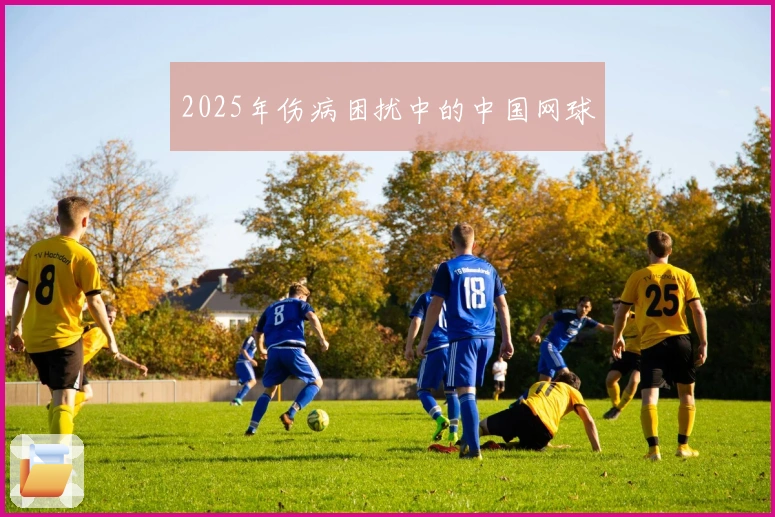 2025年伤病困扰中的中国网球