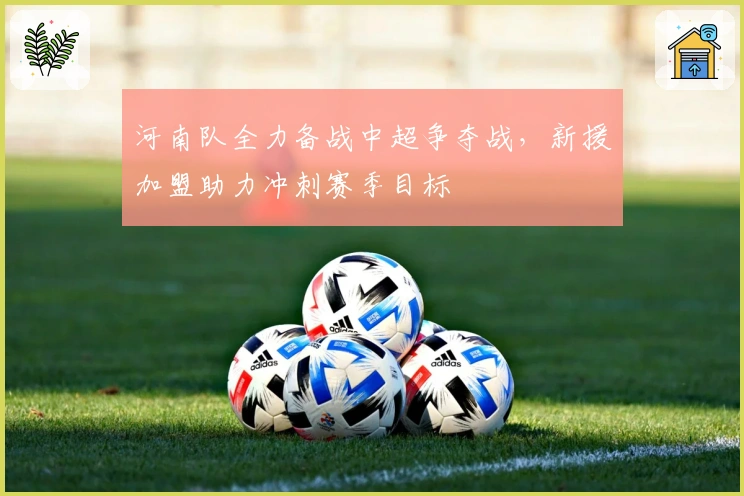 河南队全力备战中超争夺战，新援加盟助力冲刺赛季目标