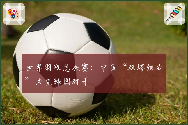 世界羽联总决赛：中国“双塔组合”力克韩国对手