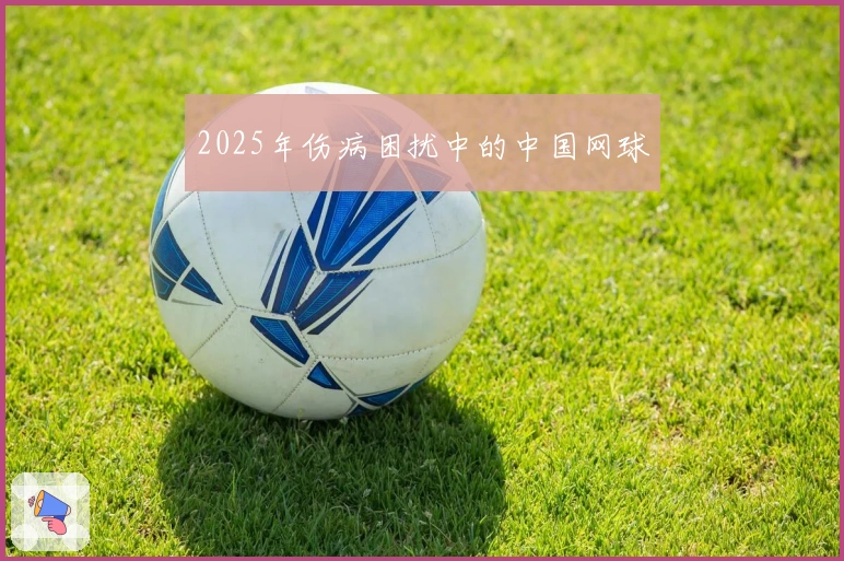 2025年伤病困扰中的中国网球